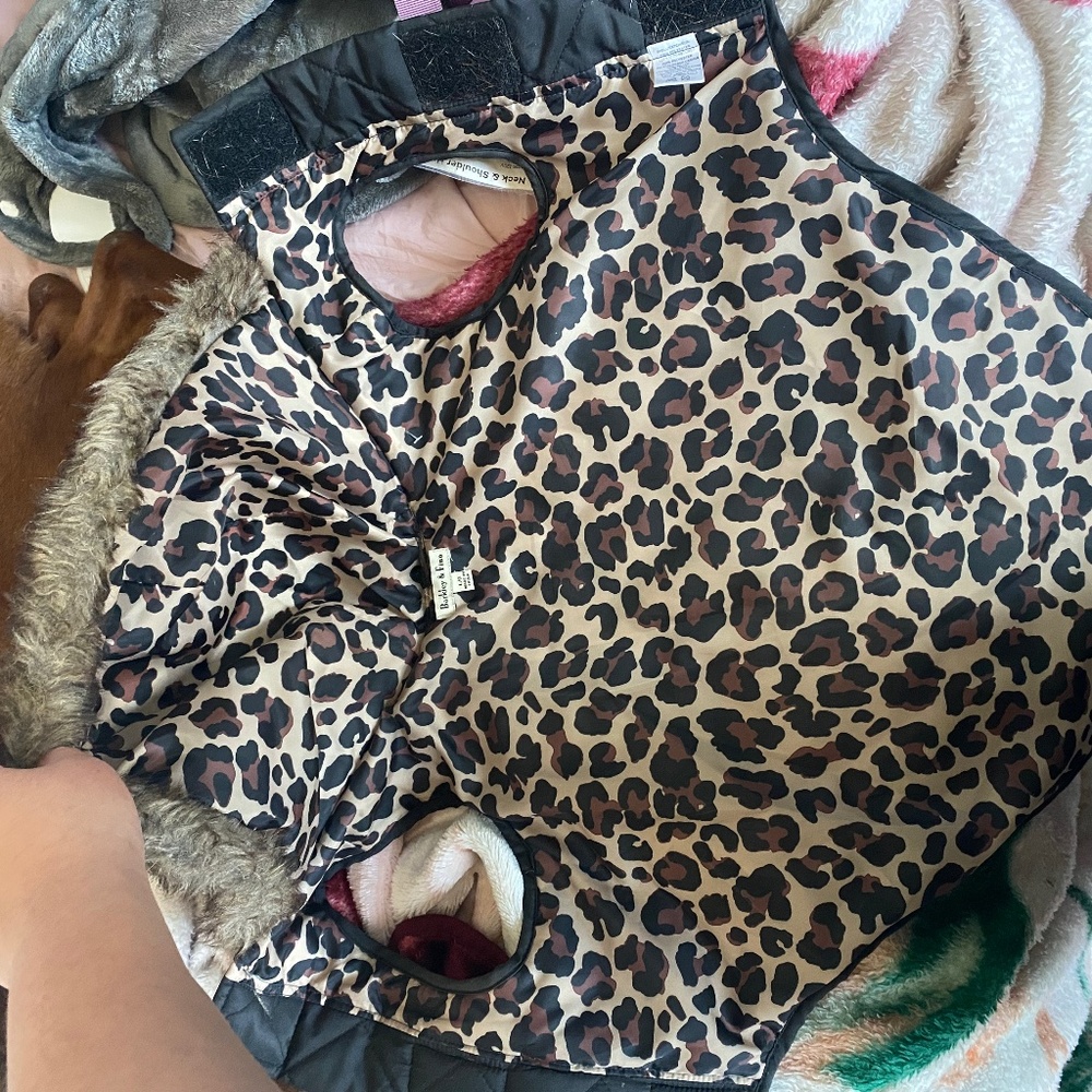 Barkely and Finn Dog Jacket